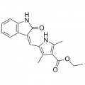 anti-HYAL1 antibody (Hyaluronidase-1) (N-Term)