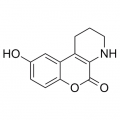 anti-HYAL1 antibody (Hyaluronidase-1) (N-Term)