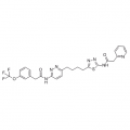 anti-HYAL1 antibody (Hyaluronidase-1) (N-Term)