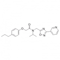 anti-HYAL1 antibody (Hyaluronidase-1) (N-Term)