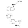 anti-HYAL1 antibody (Hyaluronidase-1) (N-Term)