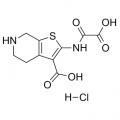 anti-HYAL1 antibody (Hyaluronidase-1) (N-Term)