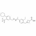 anti-HYAL1 antibody (Hyaluronidase-1) (N-Term)