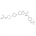 anti-HYAL1 antibody (Hyaluronidase-1) (N-Term)