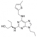 anti-HYAL1 antibody (Hyaluronidase-1) (N-Term)