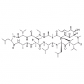 anti-HYAL1 antibody (Hyaluronidase-1) (N-Term)