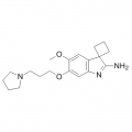 anti-HYAL1 antibody (Hyaluronidase-1) (N-Term)