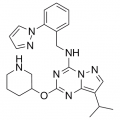 anti-HYAL1 antibody (Hyaluronidase-1) (N-Term)
