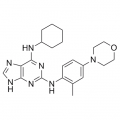 anti-HYAL1 antibody (Hyaluronidase-1) (N-Term)