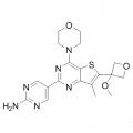 anti-HYAL1 antibody (Hyaluronidase-1) (N-Term)