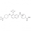anti-HYAL1 antibody (Hyaluronidase-1) (N-Term)
