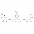 anti-HYAL1 antibody (Hyaluronidase-1) (N-Term)