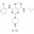 anti-HYAL1 antibody (Hyaluronidase-1) (N-Term)