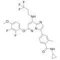 anti-HYAL1 antibody (Hyaluronidase-1) (N-Term)