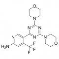 anti-HYAL1 antibody (Hyaluronidase-1) (N-Term)
