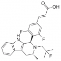 anti-HYAL1 antibody (Hyaluronidase-1) (N-Term)