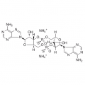 anti-HYAL1 antibody (Hyaluronidase-1) (N-Term)