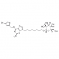anti-HYAL1 antibody (Hyaluronidase-1) (N-Term)