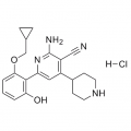 anti-HYAL1 antibody (Hyaluronidase-1) (N-Term)