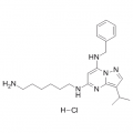 anti-HYAL1 antibody (Hyaluronidase-1) (N-Term)
