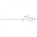 anti-HYAL1 antibody (Hyaluronidase-1) (N-Term)
