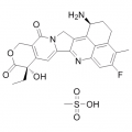 anti-HYAL1 antibody (Hyaluronidase-1) (N-Term)