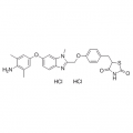 anti-HYAL1 antibody (Hyaluronidase-1) (N-Term)