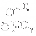 anti-HYAL1 antibody (Hyaluronidase-1) (N-Term)