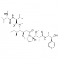 anti-HYAL1 antibody (Hyaluronidase-1) (N-Term)