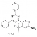 anti-HYAL1 antibody (Hyaluronidase-1) (N-Term)