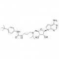 anti-HYAL1 antibody (Hyaluronidase-1) (N-Term)