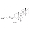 anti-HYAL1 antibody (Hyaluronidase-1) (N-Term)