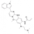 anti-HYAL1 antibody (Hyaluronidase-1) (N-Term)