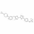 anti-HYAL1 antibody (Hyaluronidase-1) (N-Term)