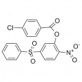 anti-HYAL1 antibody (Hyaluronidase-1) (N-Term)