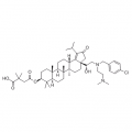 anti-HYAL1 antibody (Hyaluronidase-1) (N-Term)