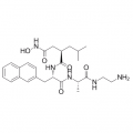 anti-HYAL1 antibody (Hyaluronidase-1) (N-Term)