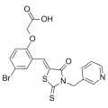 anti-HYAL1 antibody (Hyaluronidase-1) (N-Term)