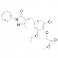 anti-HYAL1 antibody (Hyaluronidase-1) (N-Term)
