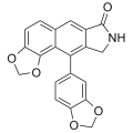 anti-HYAL1 antibody (Hyaluronidase-1) (N-Term)
