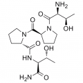 anti-HYAL1 antibody (Hyaluronidase-1) (N-Term)
