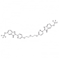 anti-HYAL1 antibody (Hyaluronidase-1) (N-Term)