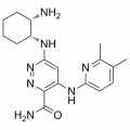 anti-HYAL1 antibody (Hyaluronidase-1) (N-Term)