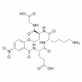 anti-HYAL1 antibody (Hyaluronidase-1) (N-Term)