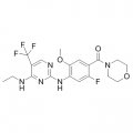 anti-HYAL1 antibody (Hyaluronidase-1) (N-Term)
