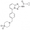 anti-HYAL1 antibody (Hyaluronidase-1) (N-Term)