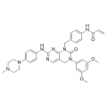 anti-HYAL1 antibody (Hyaluronidase-1) (N-Term)