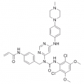 anti-HYAL1 antibody (Hyaluronidase-1) (N-Term)