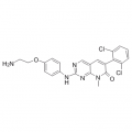 anti-HYAL1 antibody (Hyaluronidase-1) (N-Term)