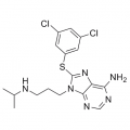 anti-HYAL1 antibody (Hyaluronidase-1) (N-Term)